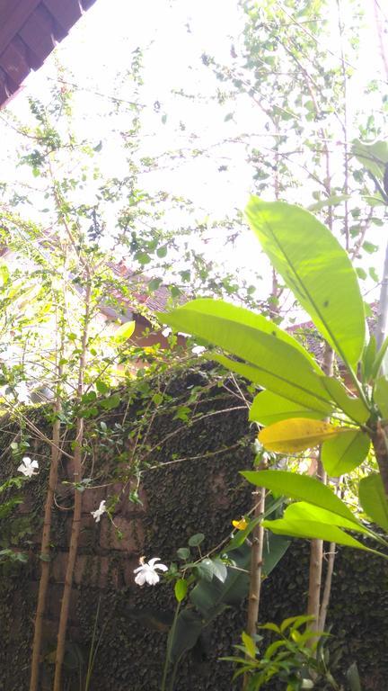 Santa Fe Homestay & Warong Amed Exterior foto